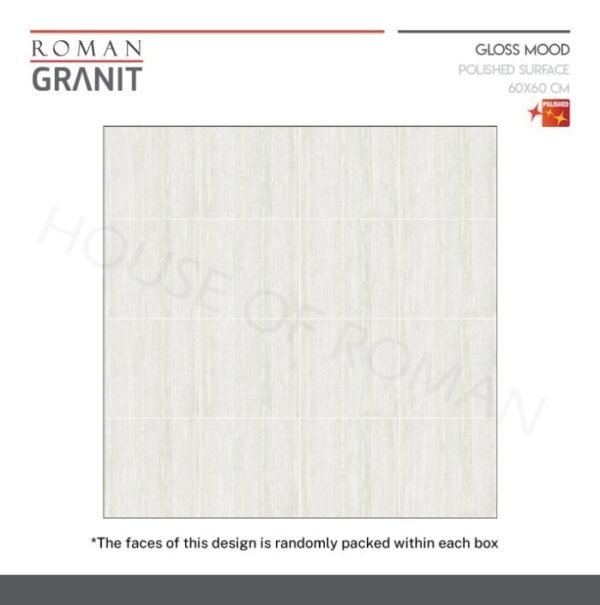 Termurah ROMANGRANIT dRapolino Bone 60x60 GT609898FR ROMAN GRANIT - Image 5