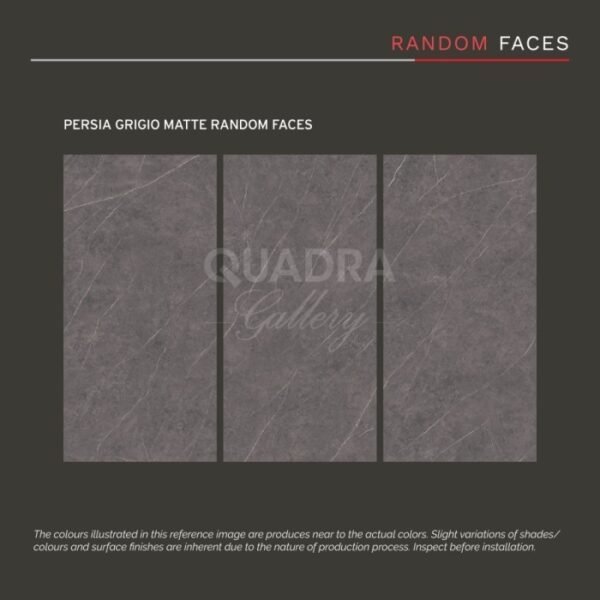 QUADRA GRANIT 320 X 160 BIG SIZE / BIG SLAP PERSIA GRIGIO MATTE - Image 2