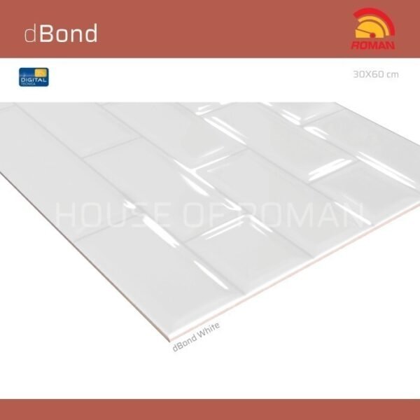 TERMURAH ROMAN KERAMIK dBond White 30x60T W63910T - Image 3